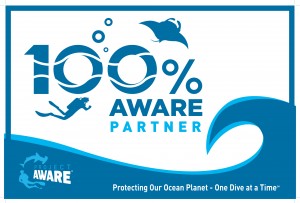 Aware Dive Flag web