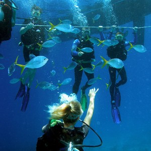 Passions_Introductory-Scuba-Dive