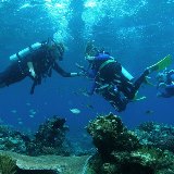 Passions-of-Paradise_Great-Barrier-Reef-Scuba-Diving