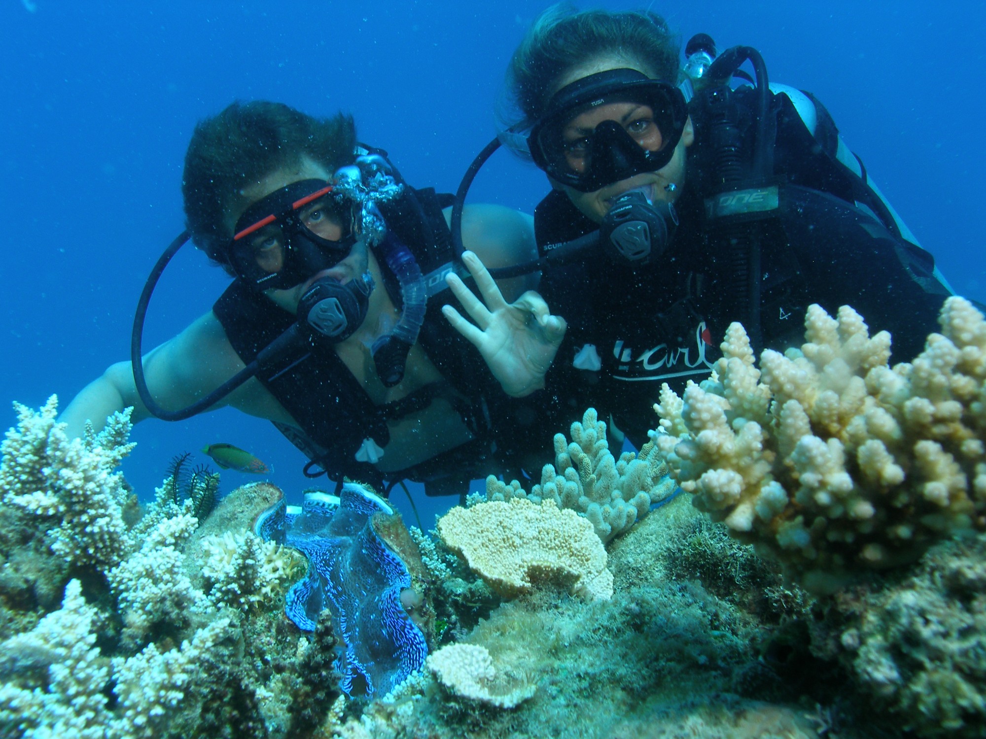 Certified Divers at Paradise Reef cairns reef tour passions of paradise