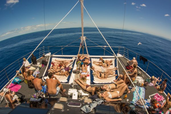 guests sunbathing on great barrier reef cairns reef tour passions of paradise