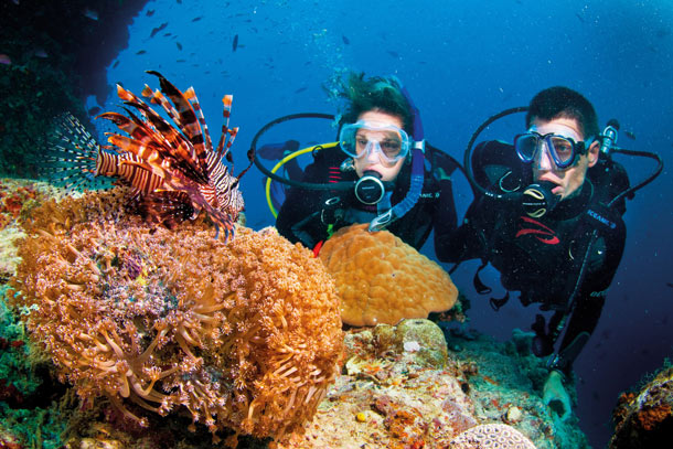 Scuba Diving in Cairns - Klook