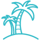 palm-tree