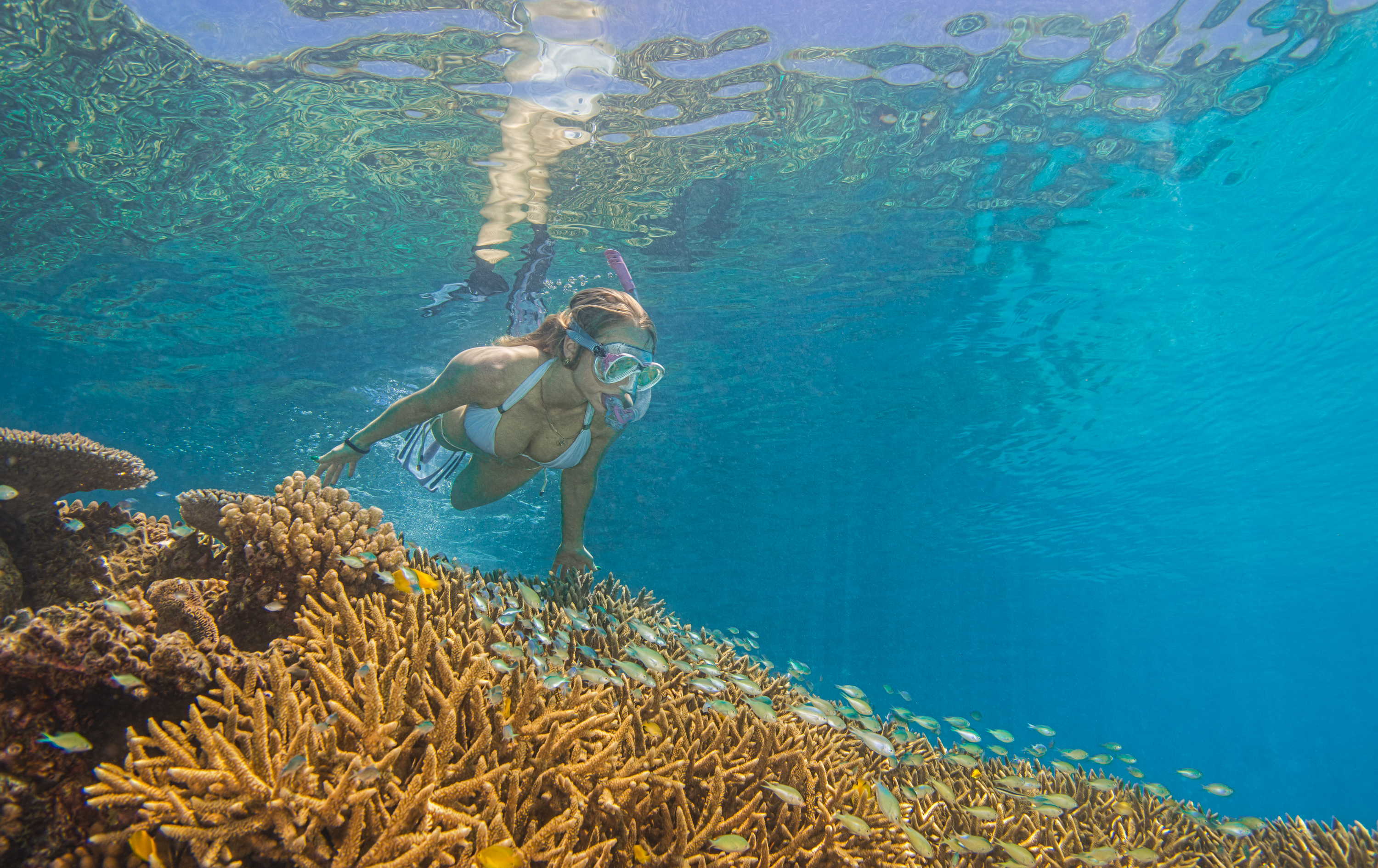 underwater photography reef