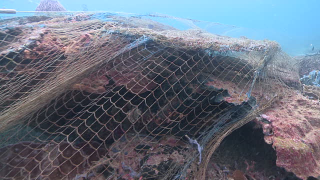 What Are Ghost Nets? The Silent Killers of Our Oceans