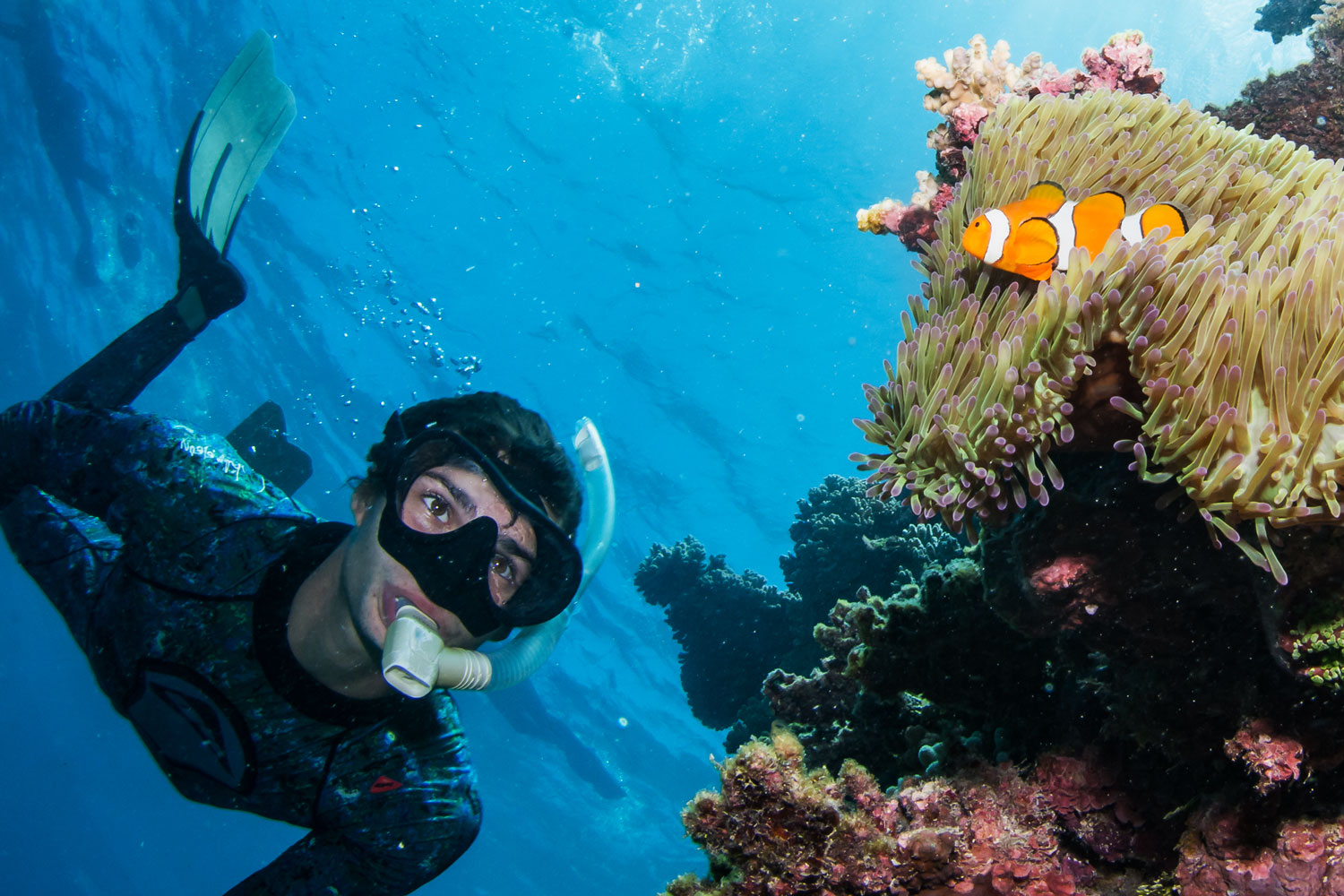 Snorkeling Coral Reef