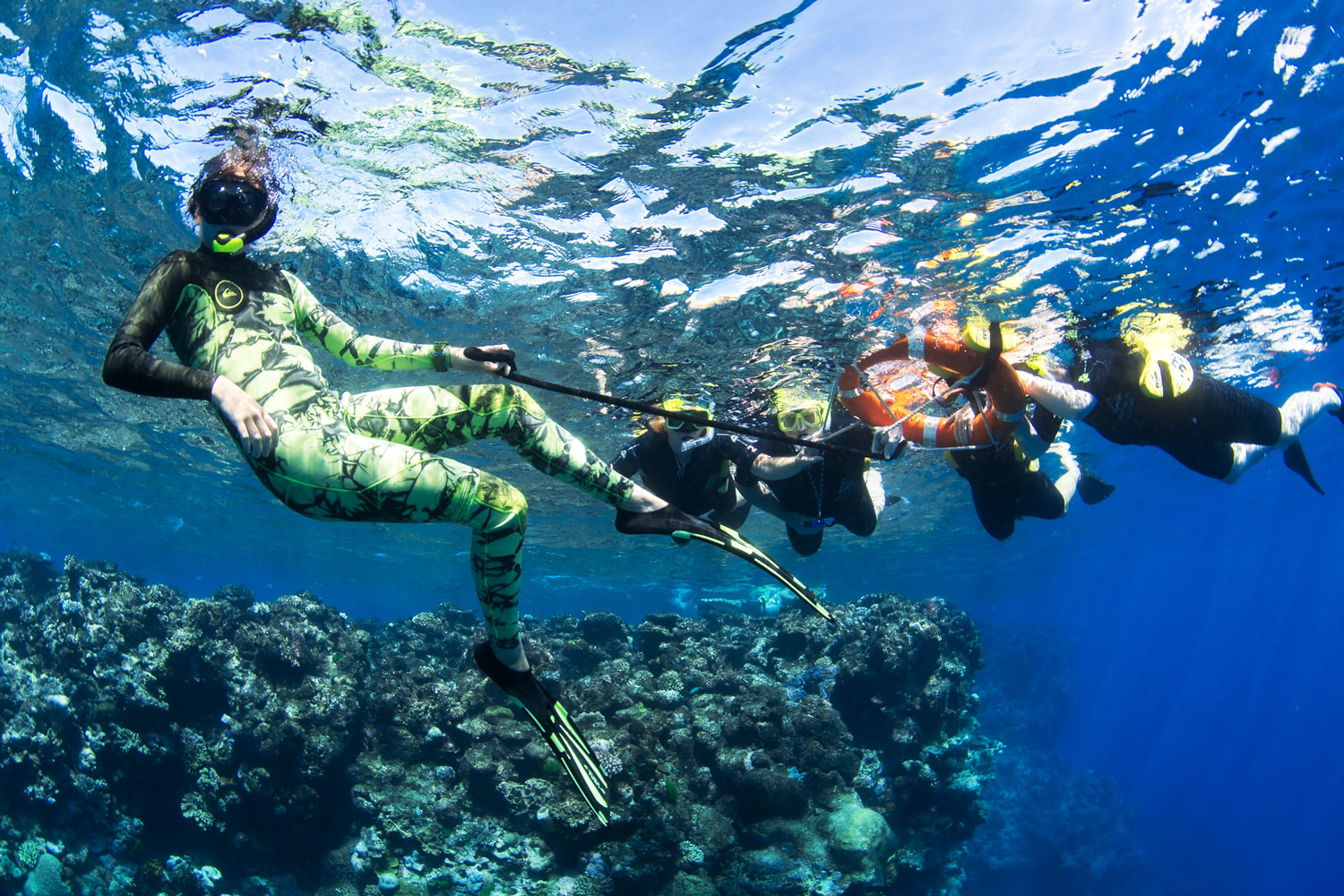 Snorkeling Coral Reef